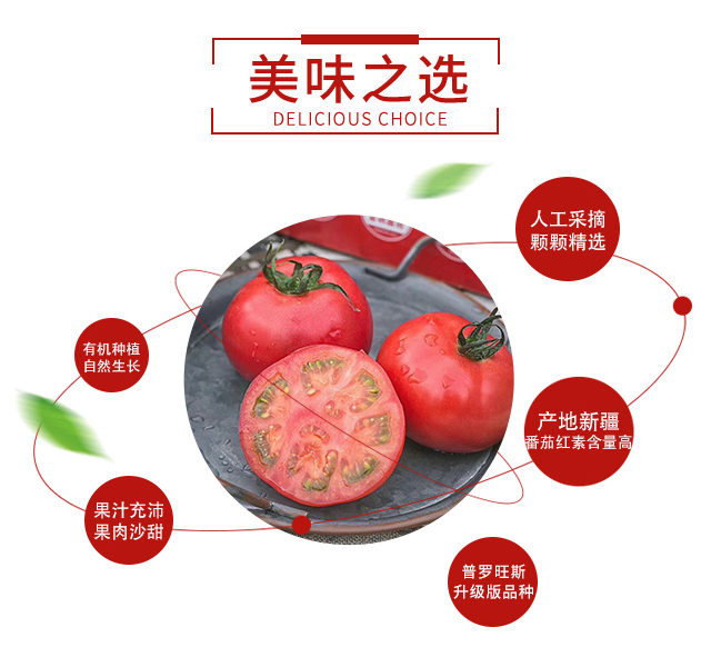 “初恋”有机西红柿